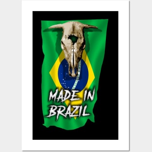 Made in Brazil Posters and Art